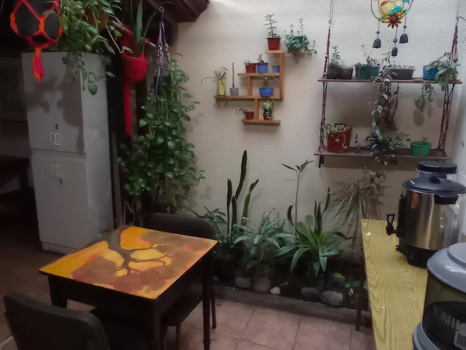 Hostel Casa Ridgway سان هوزيه المظهر الخارجي الصورة